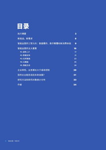 互聯網數據中心與199it 洞察數字未來的關鍵數據服務